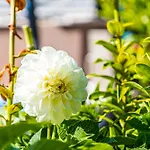 Apartamento 1 With Pool