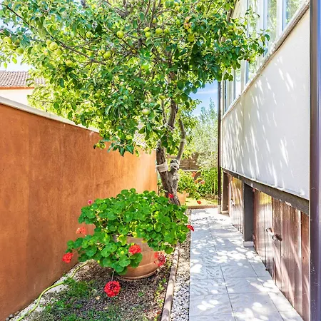 Apartmán 1 With Pool